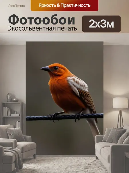LotsPrints Фотообои "Рыжая птицы животные" 2x3м