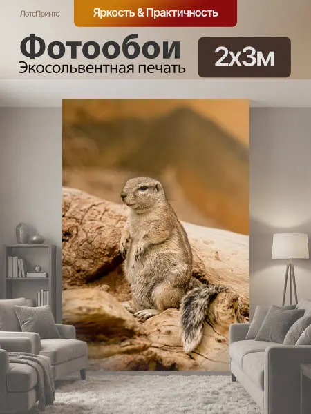LotsPrints Фотообои "Земляной хомяк, белка, мировоззрение" 2x3м