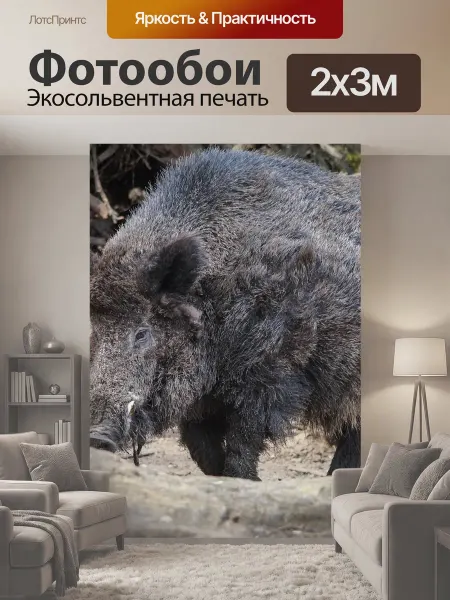 LotsPrints Фотообои "Кабан, зоопарк, природа" 2x3м