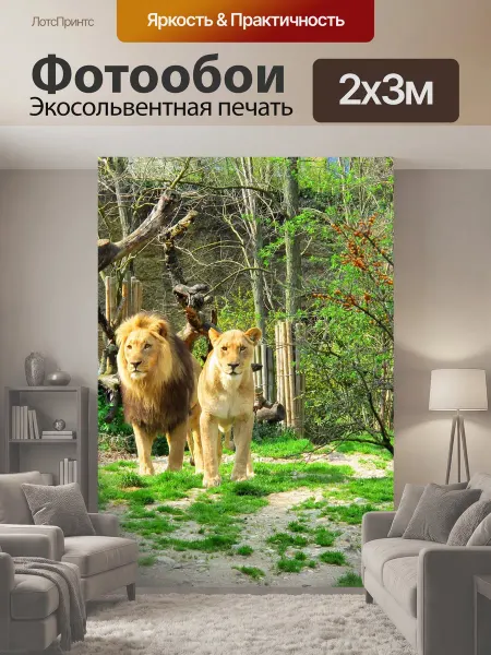 LotsPrints Фотообои "Лев, львица, зоопарк" 2x3м