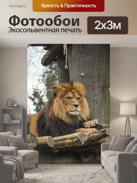 LotsPrints Фотообои "Лев, зоопарк, зоопарк хайдельберга" 2x3м