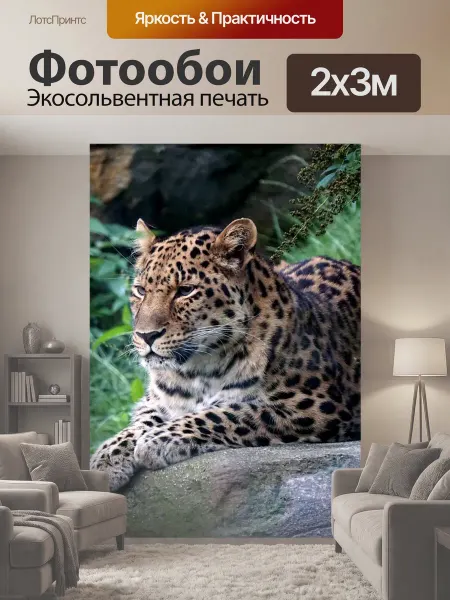 LotsPrints Фотообои "Леопард, зоопарк, хищник" 2x3м