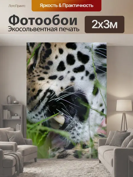 LotsPrints Фотообои "Ягуар, зубы, принимать пищу" 2x3м