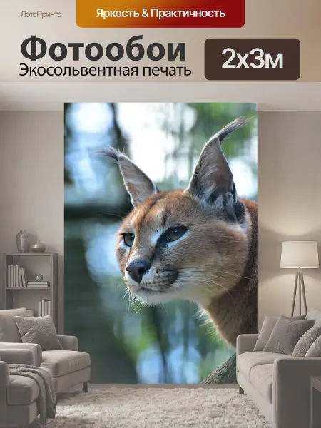 LotsPrints Фотообои "Каракал, кот, хищник" 2x3м