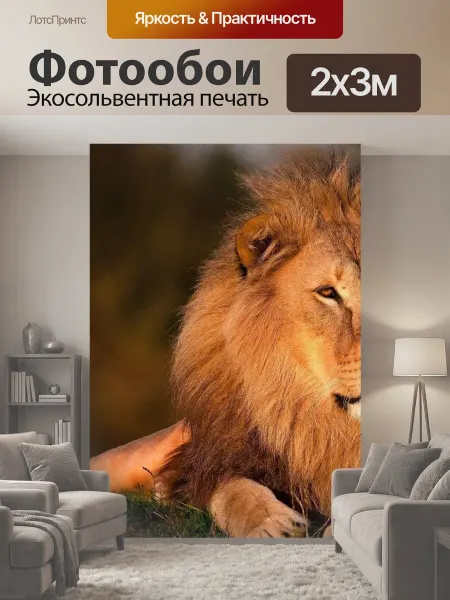 LotsPrints Фотообои "Лев, король лев, лесной король лев" 2x3м