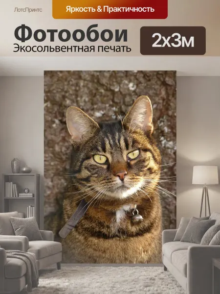 LotsPrints Фотообои "Кот, похмелье, тигр" 2x3м