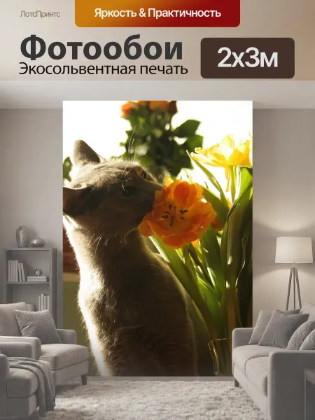 LotsPrints Фотообои "Кот, цветы, тюльпаны" 2x3м
