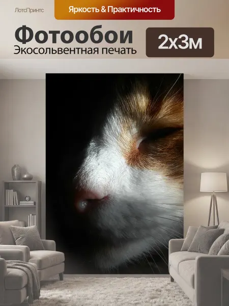 LotsPrints Фотообои "Морда кошки, странное освещение, тени" 2x3м