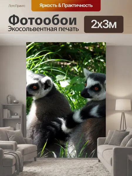 LotsPrints Фотообои "Лемуры, обезьяны, сафари" 2x3м