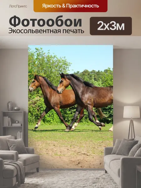 LotsPrints Фотообои "Лошадь, пони, рысь" 2x3м