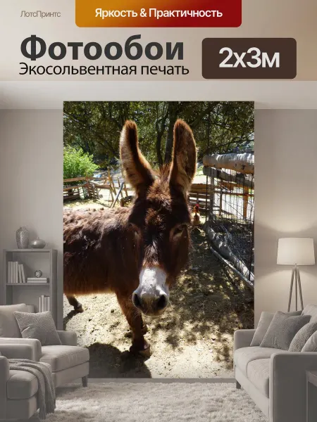 LotsPrints Фотообои "Осел, ферма" 2x3м