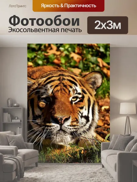 LotsPrints Фотообои "Тигр, хищник, прятаться" 2x3м