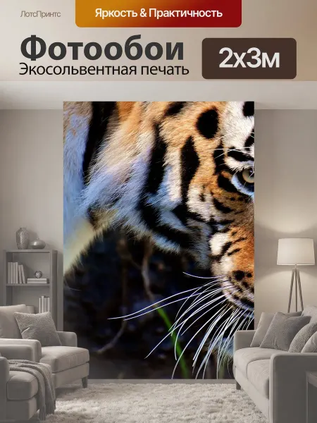 LotsPrints Фотообои "Тигр, хищник, шерсть" 2x3м