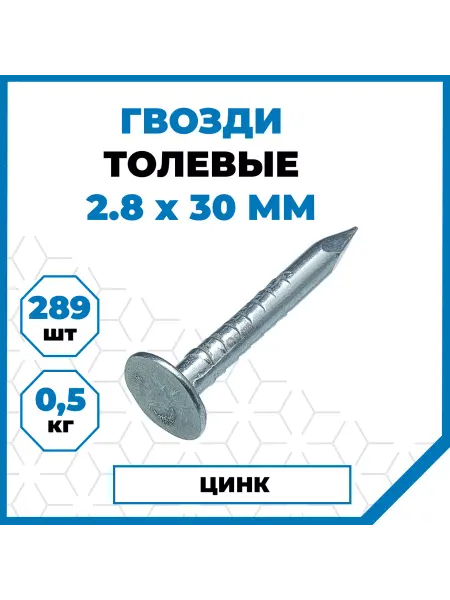 СТРОЙМЕТИЗ Гвозди толевые оцинкованные 2.8х30 мм, 500 гр
