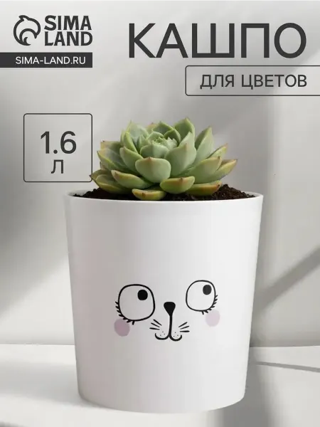 Современное пластиковое кашпо для цветочных композиций