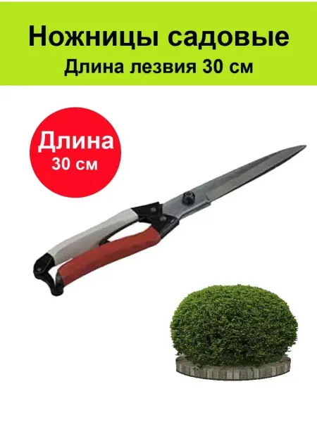 Сад, огород, инструмент Ножницы садовые, для подрезки кустов, длина 30 см
