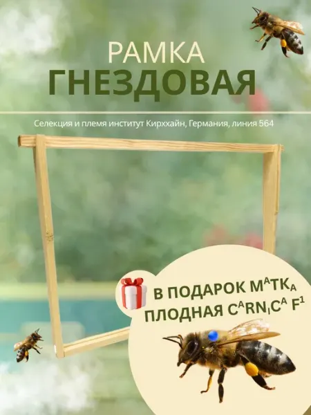 Mood wood Рамка гнездовая в улей дадан