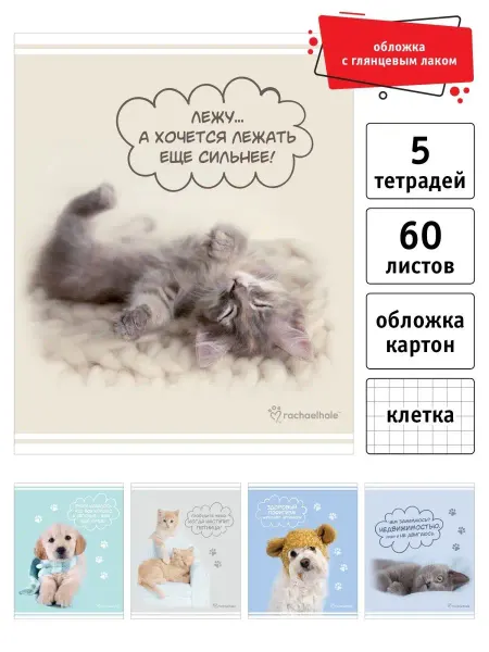 Rachael Hale Тетрадь общая 60 л А5 в клетку набор 5 шт