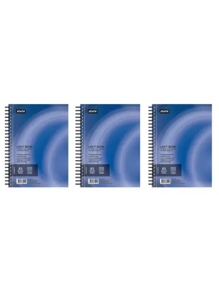 Бизнес-тетрадь, 100 л, клетка, А5, LightBook, 3 шт