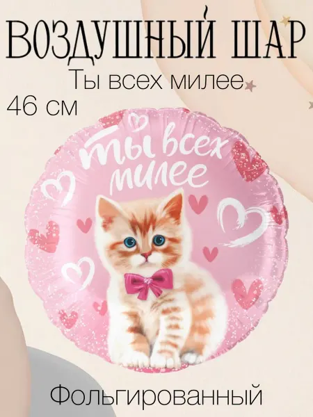 Falali Воздушный шар "Ты всех милее" 46 см