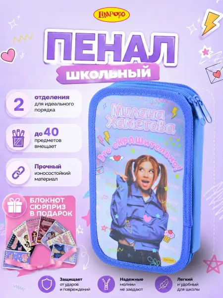Милана Хаметова Пенал школьный 2 отделения