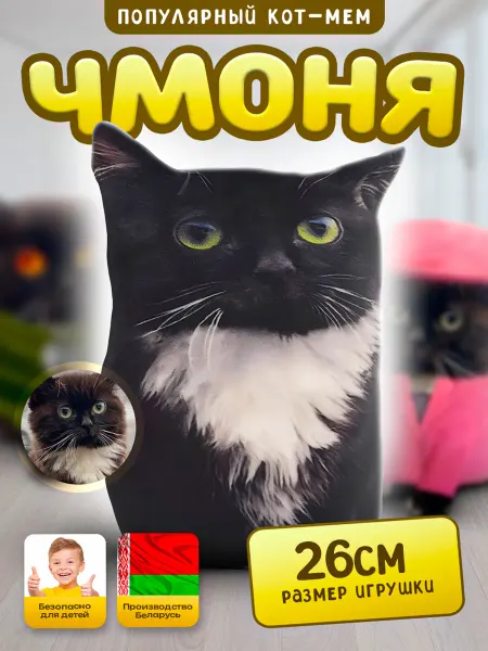 SOFFY Мягкая плюшевая игрушка Чмоня кот мем 26 см