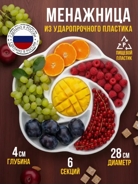 Менажница пластиковая 6 секций 28 см