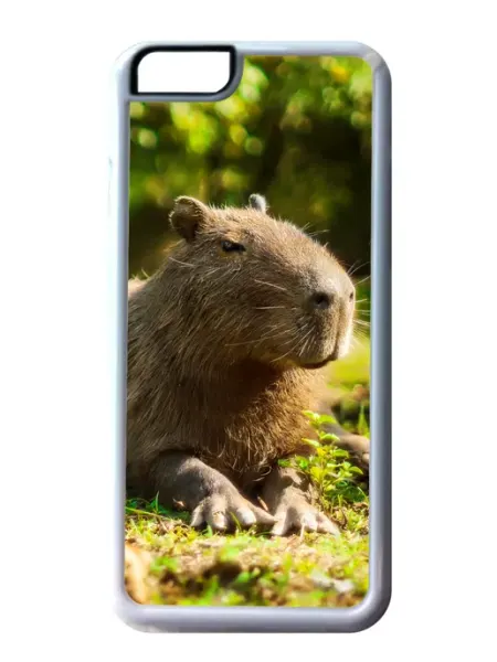 GOODbrelok Чехол на телефон Капибара, iPhone 11 Pro