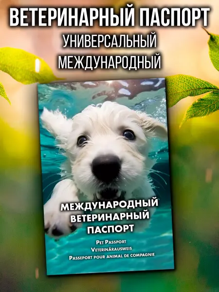 Аурасо Ветеринарный паспорт для собак международный