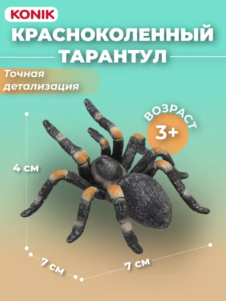 Konik Фигурка-игрушка Красноколенный тарантул