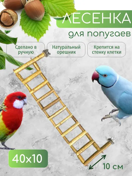 ДеревяшкиHOME Настенная лесенка в клетку для попугаев и птиц, 40 х 10 см