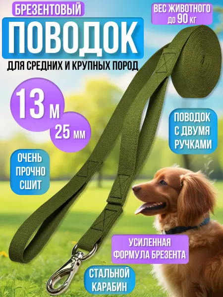 Zookraft Поводок для собак брезентовый 13 м х 25 мм зеленый