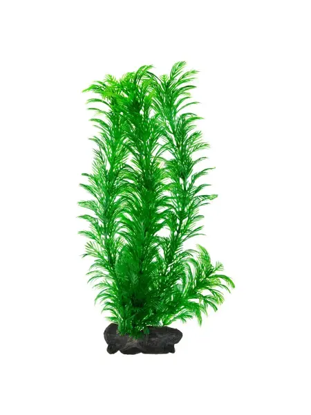 TETRA КАБОМБА (GREEN CABOMBA) L, 30 см, растение аквариумное