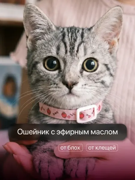 SSY Ошейник от блох и клещей для кошек и собак 35 см