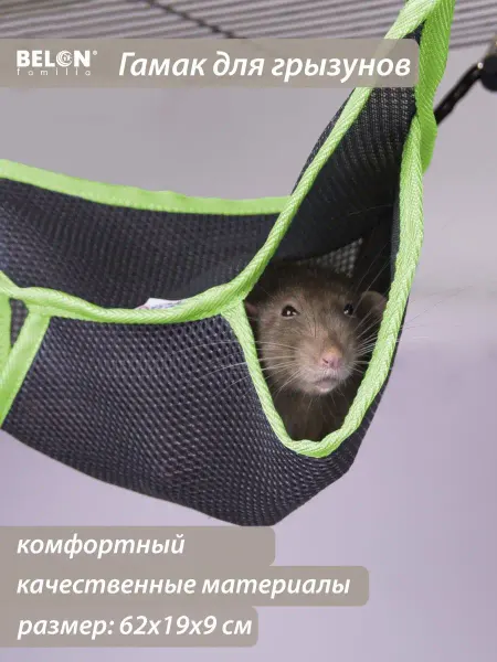 Belon familia Гамак для грызунов угловой, вид 4, цвет серый лайм