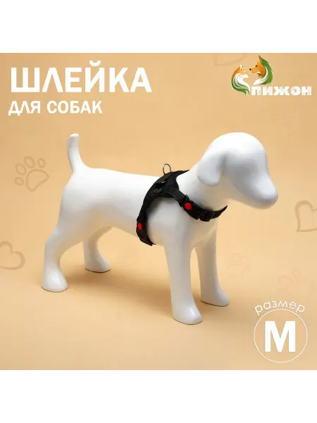 Пижон Шлейка мягкая размер М ОШ 46 см