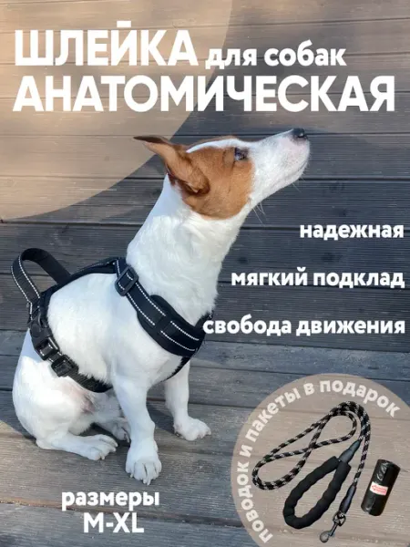 AndreyCherduck.Store Шлейка для собак мелких средних и крупных пород прогулочная