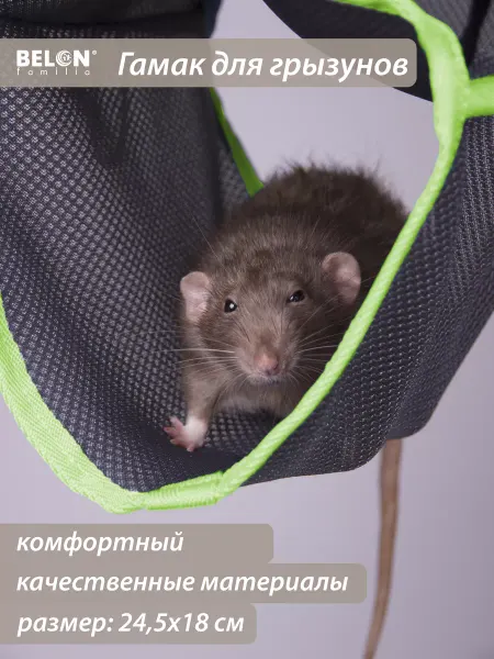 Belon familia Гамак для грызунов, труба, цвет серый лайм