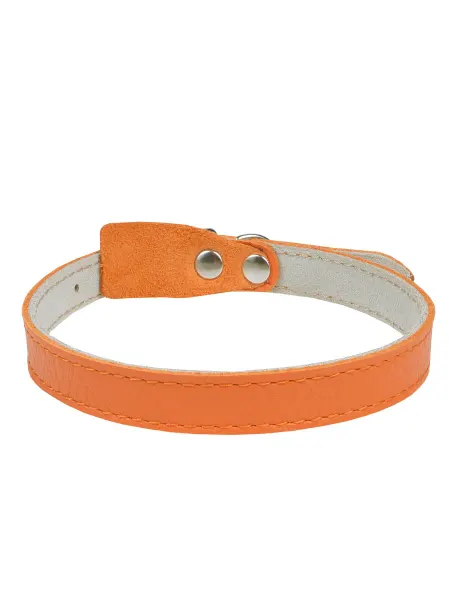 CHOKERZ Ошейник для кошек и собак мелких пород кожаный двухслойный