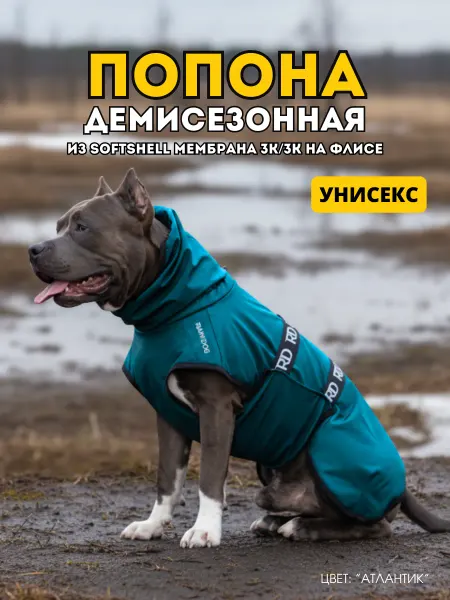 Rain Dog Попона жилет демисезонная для собак океан
