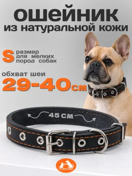Dogdogs Ошейник для собак мелких и средних пород