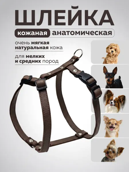 DOGIGOOD Шлейка для собак мелких пород анатомическая кожаная