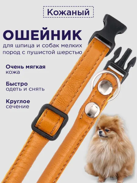 DOGIGOOD Ошейник для шпица и собак мелких пород круглый кожаный