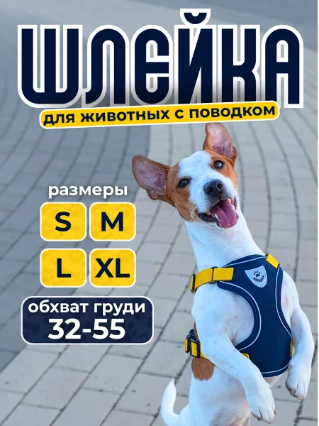 Eri A Шлейка анатомическая для собак мелких пород и кошек с поводк…