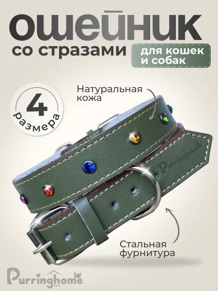 Purring Home Ошейник кожаный зеленый со стразами для собак мелких пород