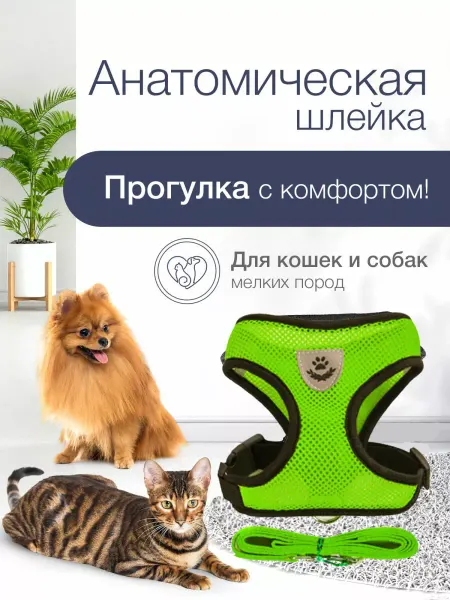 MaryCat Шлейка для собак и кошек с поводком амуниция для прогулки