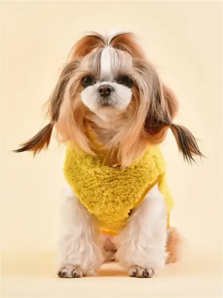 PUPPIA Толстовка для собак с капюшоном "Willa", горчичный, XL