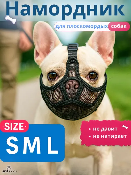 SP-DoGs Намордник для французского бульдога