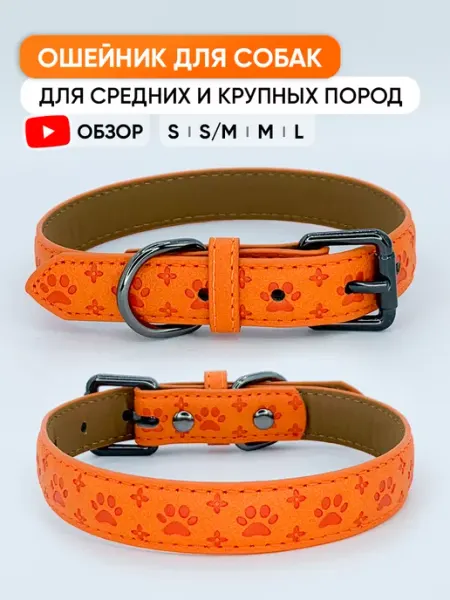 WHISKEY Кожаный ошейник для собак и щенков всех пород
