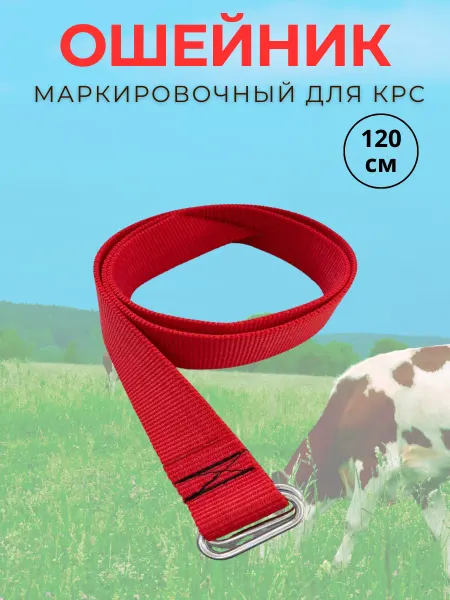 БТНК Ошейник маркировочный для КРС на кольцевой пряжке